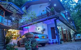 New Blue Home