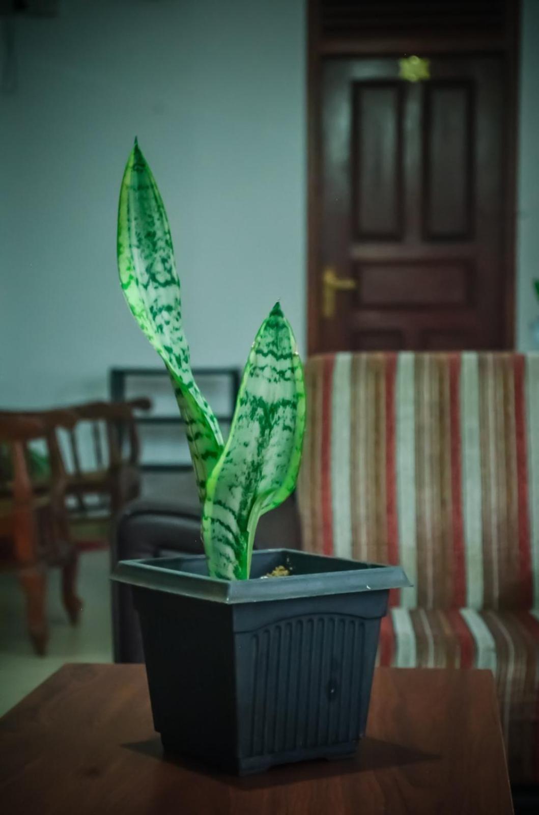 New Blue Home Ella Zewnętrze zdjęcie